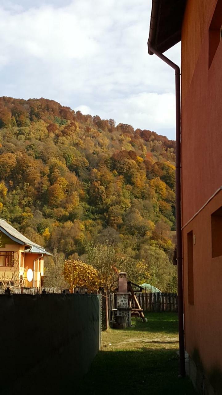 Cazare Popasul Drumetului Corbeni Exterior photo